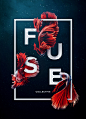 Fuse Collective : Key Art created for Fuse Collective's website relaunch in 2015