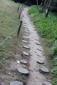 Landscape婷婷采集到风景园林——道路铺装广场