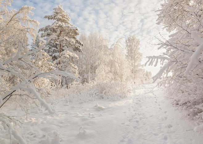 全球最美雪景一瞥：20图讲述冬天的童话5...
