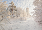 全球最美雪景一瞥：20图讲述冬天的童话5 (721×511)