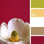 Color Palette Ideas