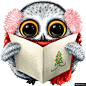 大眼猫头鹰 贺卡卡片 冬日打扮 手绘圣诞卡通动物模板免扣png
