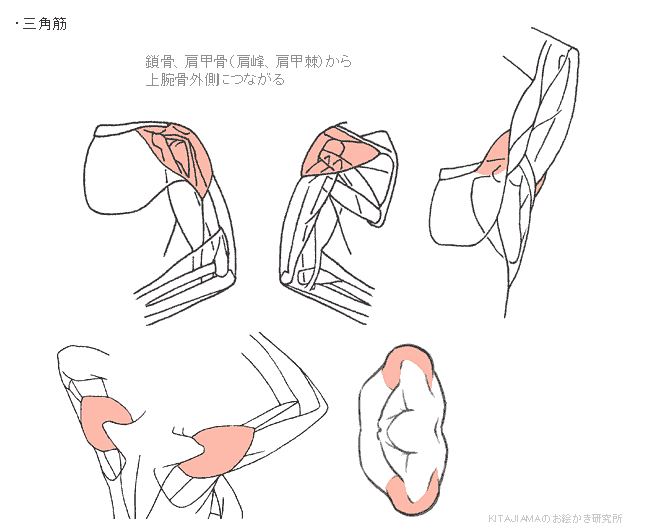 네이버 블로그 :: 포스트 리스트