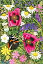 Butterfly Garden I Art of Anne Mortimer