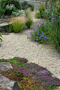 soften the edges of a gravel garden with ground cover and grasses