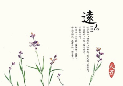 xxyynzz采集到花