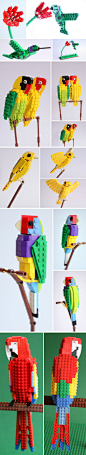 Tropical Lego Birds