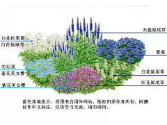 似水流汗采集到植物