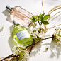 L'OCCITANE en Provence (@loccitane)'s Instagram Profile | Tofo.me · Instagram网页版