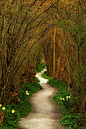 Forest Path, Leiden, The Netherlands
photo via bill