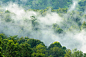 云雾缭绕的山林景色高清图片