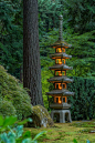 日本景观中的石灯笼 ​​​​