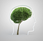 创意大脑绿色树木图片