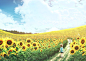 Anime 1637x1157 sunflowers sky field