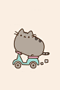 pusheen猫骑车 手机壁纸

肥猫,pusheen,卖萌,手机壁纸 #素材#