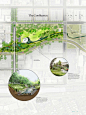 The Waller Creek Conservancy Design Competition Final Four- MVVA