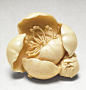 Tsukamoto Kyokusai , Cherry Blossom and Bud, late 19th-early 20th century  Netsuke, Ivory with light staining