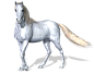 Horse 3 PNG by Variety-Stock