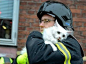 被​消​防​员​救​出​的​猫​，​眼​神​已​说​明​了​一​切！