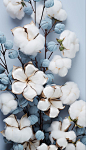 cotton flowers with blue leaves on a light blue background by corbe for stocks