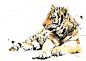 Saatchi Online Artist: Lucy Newton; Ink, Mixed Media "Tiger Cub"