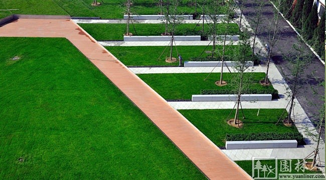 北京威克多大兴总部广场景观设计项目 - ...