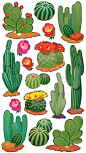 Desert Cactus Scrapbooking Stickers 