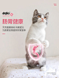 戴洛 猫条100支猫咪零食营养增肥猫鲜条整箱【不吃包退试吃一支】