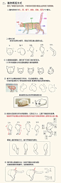 激萌猫咪的绘画教程~喵喵喵 How to draw a cute kitty！, chen zhan : 教你如何画激萌猫咪
从猫的身体结构到动态