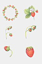 清新创意手绘水彩草莓花卉插画免抠素材
