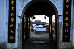 秋声鹤鸣采集到风景美女花瓣