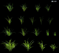 野草, lsr CG : 自己的植被库，所有植被都有循环风场动画。
