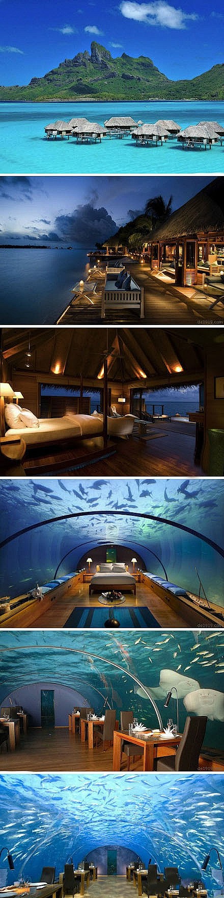 马尔代夫港丽度假村第一家全玻璃的海底酒店...