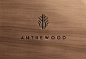 Anthewood Furniture : ANTHEWOOD company is dealing with the sale of wood products, both finished and made ??to order. Products are unique, custom, stylish stools, chairs, tables, balusters in different patterns and different types of cutters made ??to ord