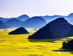 紫萌月采集到壁纸：自然风景