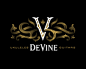 DeVine Guitars@北坤人素材