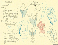 Ni懂否采集到 百家人体结构画法 之 肩部-胸腔-背部动作