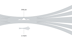 洋仔lewyang采集到vi