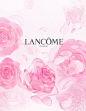 Lancome兰蔻 插画设计 - 视觉中国设计师社区