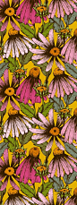 floral : daisy : hand drawn