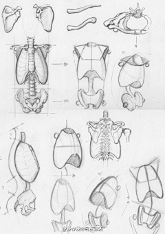 宴贼采集到绘画