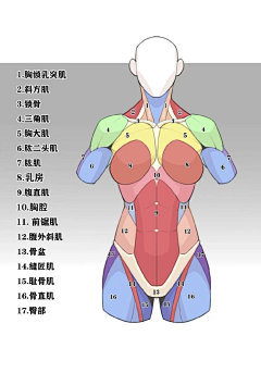 宇宙的宇采集到结构