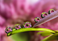 Photograph Six Ladies by Miki Asai on 500px