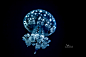 Jewelled Jellyfish by BrettAZimmerman on deviantART