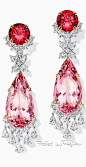 Rubies, and Diamond Earrings: 