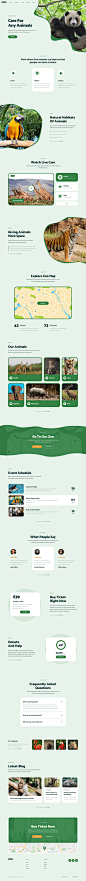 animals design UI ui design ux UX UI Designer Web Design  Website zoo