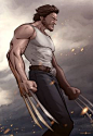 Wolverine by PatrickBrown