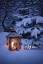 Close up of glowing lantern in snow