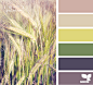 grain palette