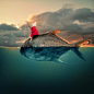 Child Photography by Caras Ionut | Cuded